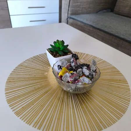 Stan Na Dan Zaga Dusana Vasiljeva 7a *