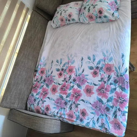 Stan Na Dan Zaga Dusana Vasiljeva 7a Lejlighed *